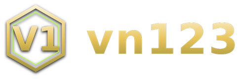 vn123 logo